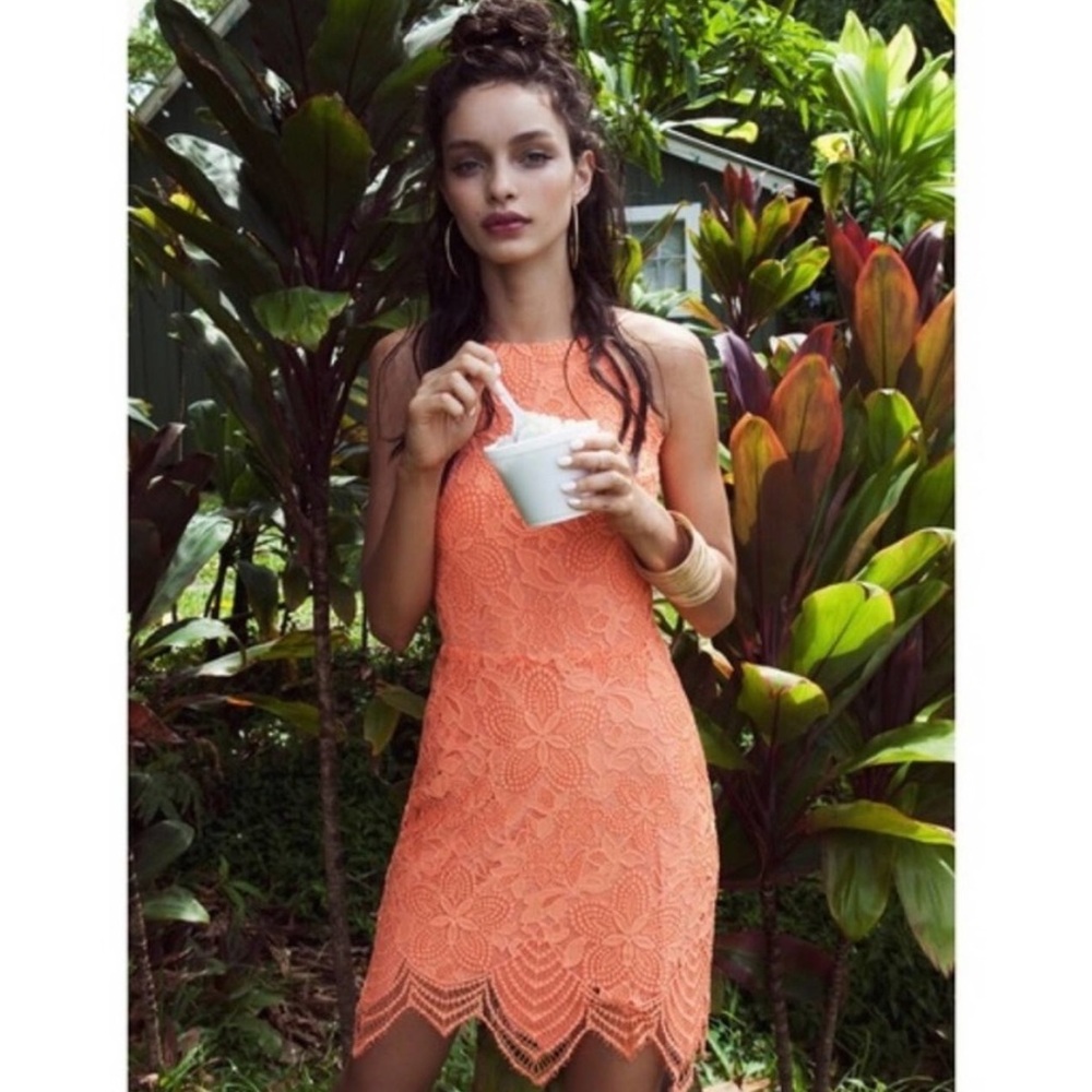 For Love & Lemons Guava Lace Crochet Cut Out
Mini Dress Tropical Orange Small